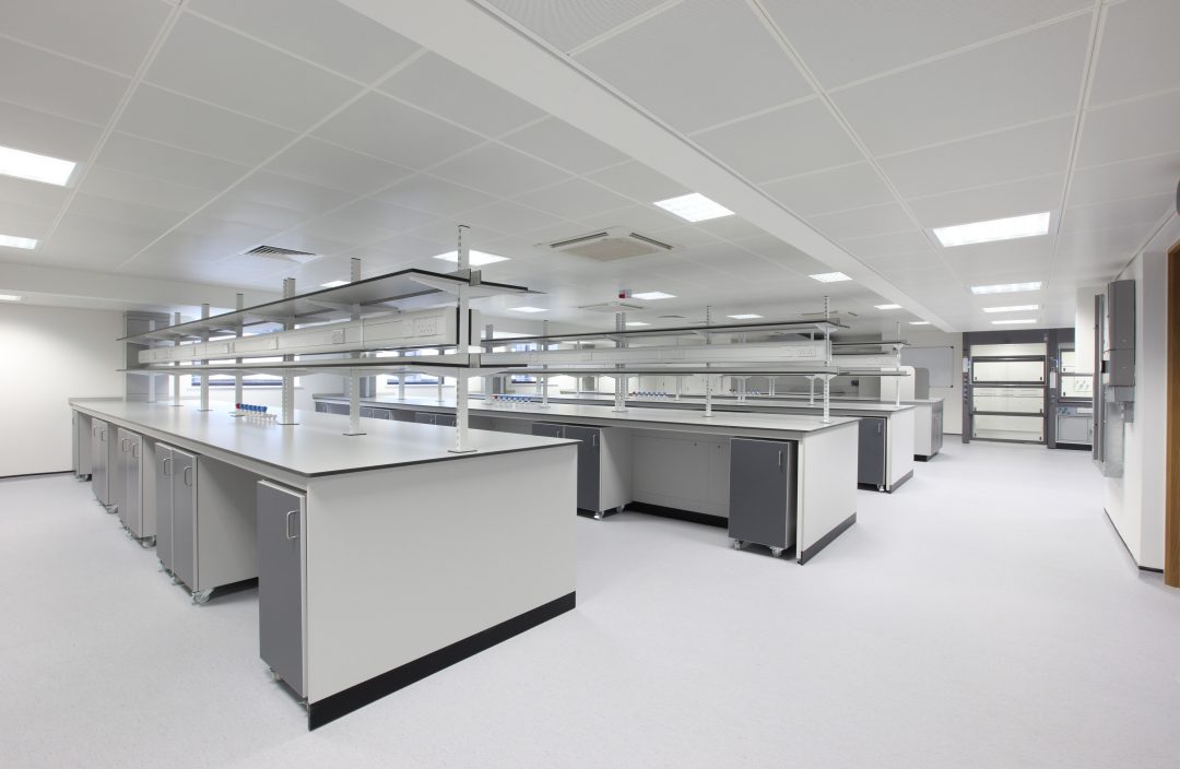 Laboratory 6